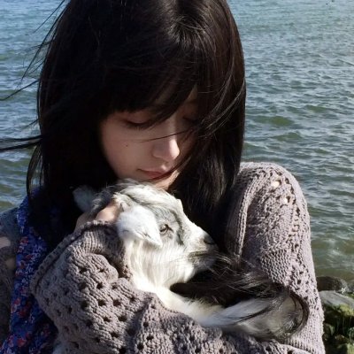 绝地7骑士 海报