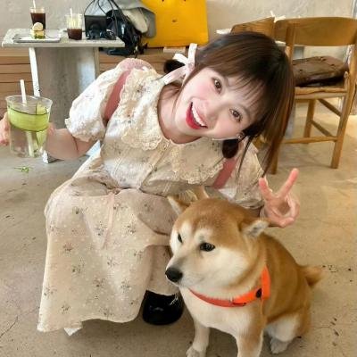 疯狂的麦咭第八季 海报